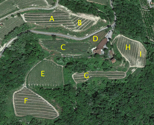 Weinberge der Cascina Mucci vom Satelliten aus